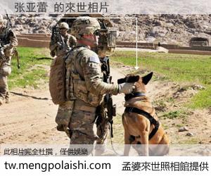 张亚蕾 來世的未來相片