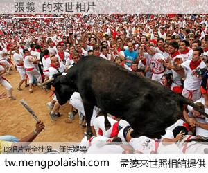 張義 來世的未來相片