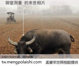 御堂測量 來世的未來相片