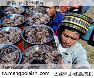 戦果 來世的未來相片