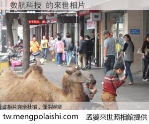 数航科技 來世的未來相片