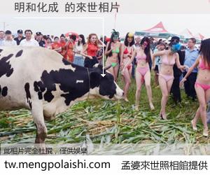 明和化成 來世的未來相片