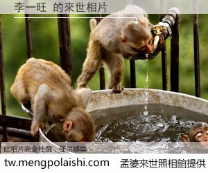 李一旺 來世的未來相片