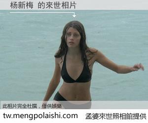 杨新梅 來世的未來相片