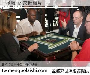 杨雕 來世的未來相片