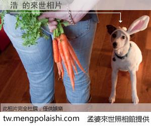 浩 來世的未來相片