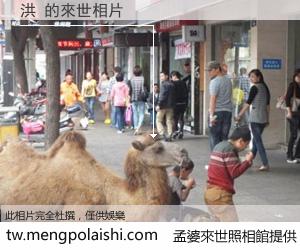 洪 來世的未來相片