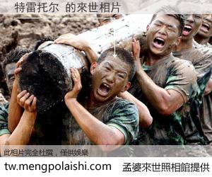 特雷托尔 來世的未來相片