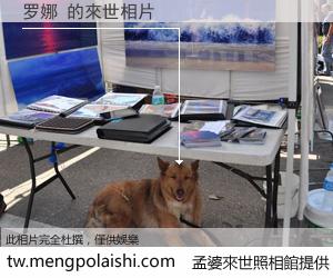 罗娜 來世的未來相片