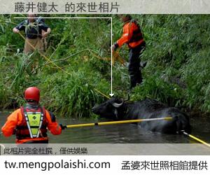 藤井健太 來世的未來相片