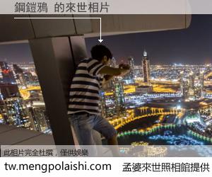 鋼鎧鴉 來世的未來相片