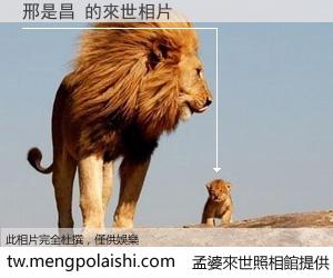 邢是昌 來世的未來相片