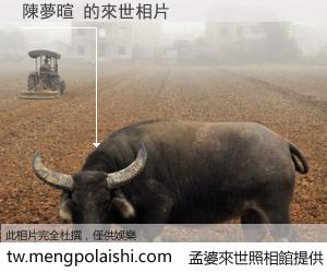 陳夢暄 來世的未來相片