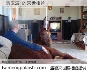 馬玉波 來世的未來相片