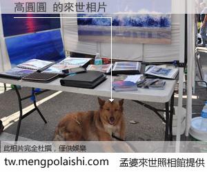 高圓圓 來世的未來相片