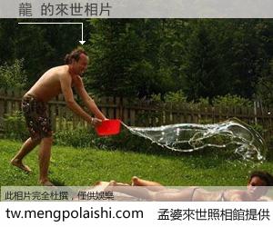 龍 來世的未來相片