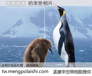 오더블록 來世的未來相片