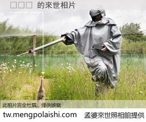 정석해 來世的未來相片