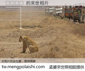 폐비유씨 來世的未來相片