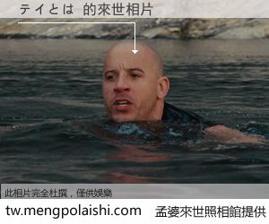 テイとは 來世的未來相片