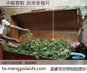 中職賽制 來世的未來相片