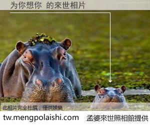 为你想你 來世的未來相片