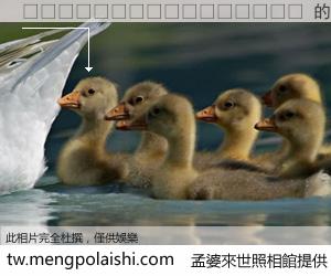 😊😊😊😊 來世的未來相片