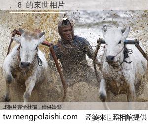 , 8 來世的未來相片