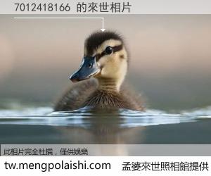 7012418166 來世的未來相片