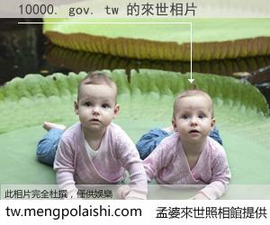 10000. gov. tw 來世的未來相片