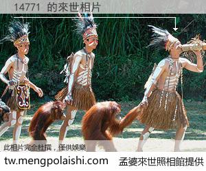 14771 來世的未來相片