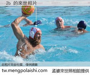 2b 來世的未來相片