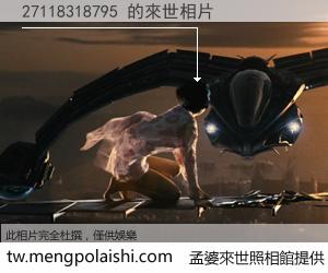 27118318795 來世的未來相片