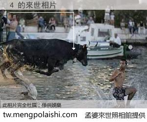 4 來世的未來相片