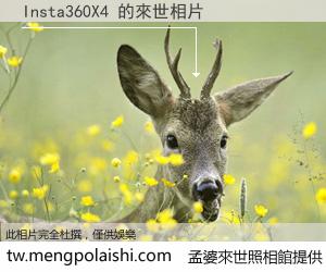 Insta360X4 來世的未來相片