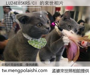 LU24E85KRS/CI 來世的未來相片