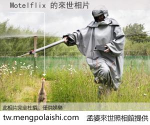 Motelflix 來世的未來相片