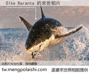 Olke Raranta 來世的未來相片