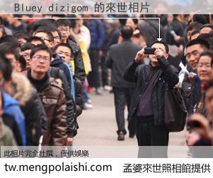 Bluey dizigom 來世的未來相片