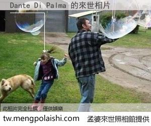 Dante Di Palma 來世的未來相片