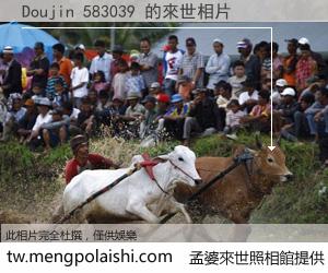 Doujin 583039 來世的未來相片