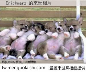 Erichmarz 來世的未來相片