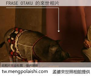 FRASE OTAKU 來世的未來相片