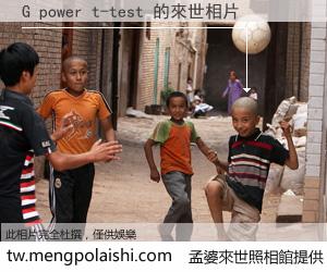 G power t-test 來世的未來相片