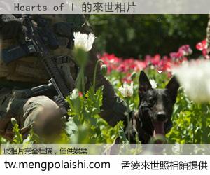 Hearts of I 來世的未來相片