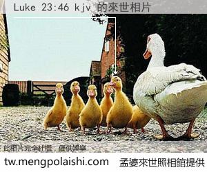 Luke 23:46 kjv 來世的未來相片