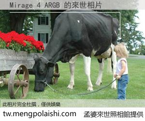 Mirage 4 ARGB 來世的未來相片