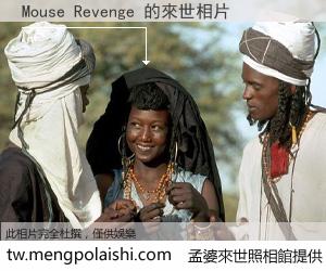 Mouse Revenge 來世的未來相片