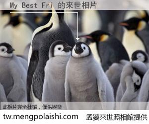 My Best Fri 來世的未來相片