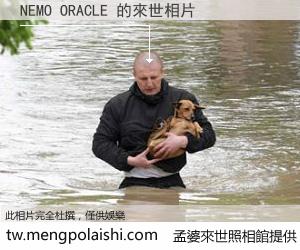 NEMO ORACLE 來世的未來相片